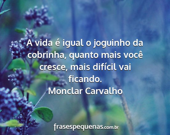 A vida é igual o joguinho da cobrinha, Monclar Carvalho - Pensador