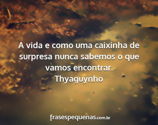 Thyaguynho - A vida e como uma caixinha de surpresa nunca...