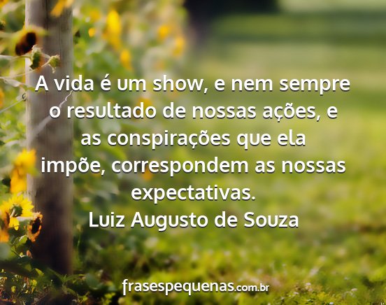 Luiz Augusto de Souza - A vida é um show, e nem sempre o resultado de...
