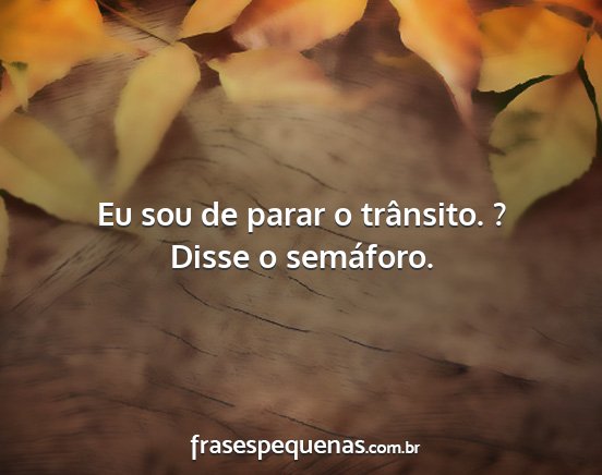 Eu sou de parar o trânsito. ? Disse o semáforo.