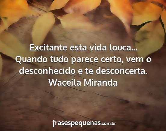 Waceila Miranda - Excitante esta vida louca... Quando tudo parece...