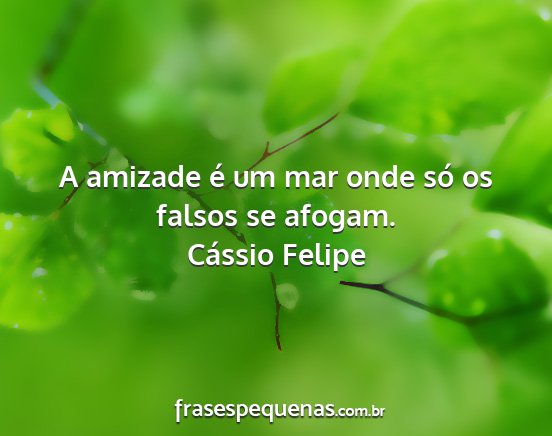 Cássio Felipe - A amizade é um mar onde só os falsos se afogam....