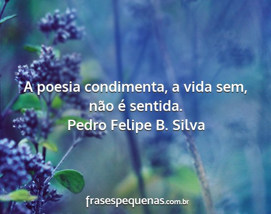 Pedro Felipe B. Silva - A poesia condimenta, a vida sem, não é sentida....